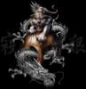 art_-_dragons_-_chinese_mythology_-_dragon_and_panther.jpg